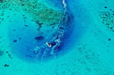 Laguna di Tahiti: Snorkeling con tartarughe, razze e coralli