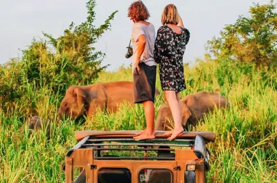 Udawalawe National Park Safari: Open-Top Jeep Wildlife Tour