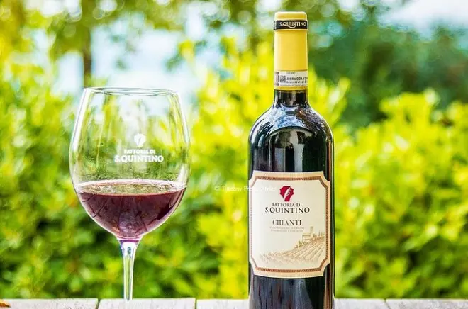 San Miniato guided tour: Wine tasting medieval village winery