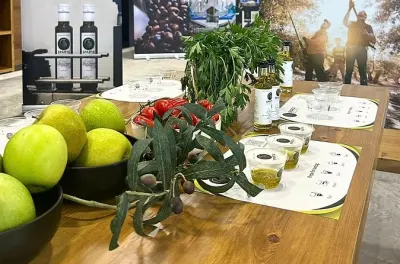 Dégustation d’huile d’olive à Sparte : De la ferme à la bouteille