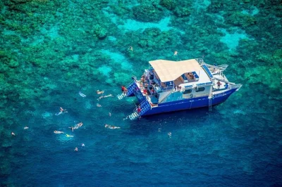 Swim kealakekua bay’s clear waters, see captain cook monument, and learn kona history on a morning snorkel tour with certified crew, breakfast & lunch included.