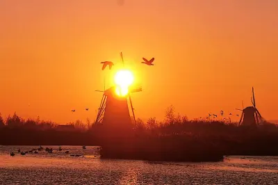 Photographie à Kinderdijk : Moulins à vent et ferme de fromage