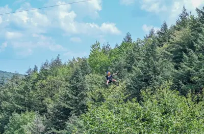 Ziplining at Bristol Mountain: 7 lines through the trees