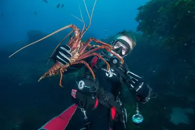 Rottnest Island Deep Diving from Fremantle: 2 dives minimum 30 metres