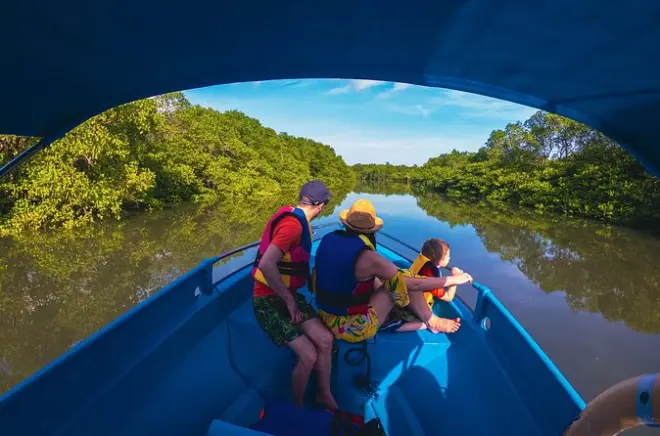 Snorkeling at Tanjung Benoa: Hand-feed fish, mangroves & turtles