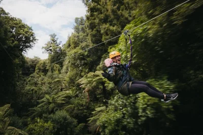 Feel the rush on a rotorua zipline adventure through ancient forest, spot rare birds, and support conservation. includes pickup, gear, and local guides.
