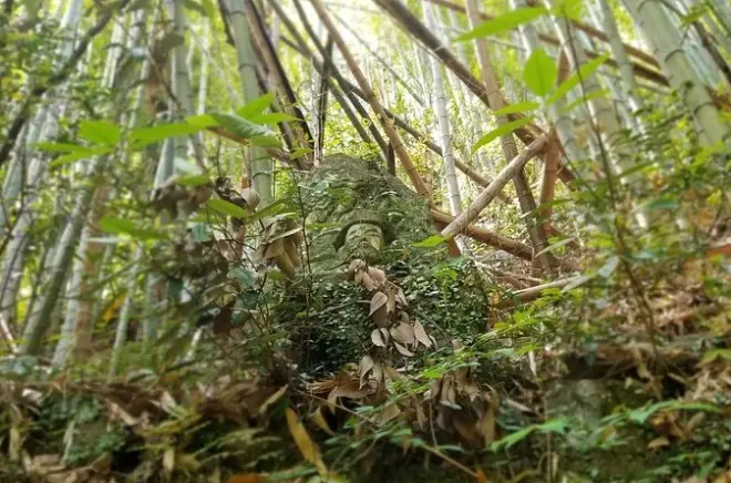 Beppu Saigoku: 270 statue di Buddha in camminata di 3 ore