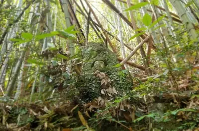 Beppu Saigoku: 270 statue di Buddha in camminata di 3 ore