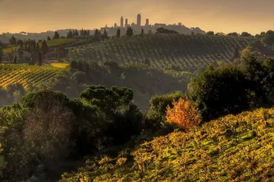 Chianti and San Gimignano Sunset Tour from Siena