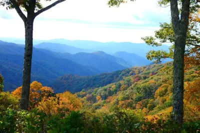 Herbstlaub in Gatlinburg: Bester Farbwechsel nach Höhenlage