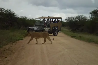 Kruger National Park safari: Avvista i Big 5