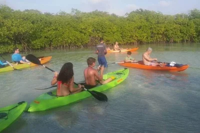 Scivola in kayak con fondo trasparente lungo la costa di aruba, osserva la vita marina, fai tappa a isla di oro e gusta frutta fresca sulla spiaggia di mangel halto. con guida inclusa.