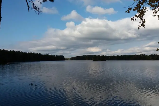 Wanderung am Kalliojärvi-See: Wald, Felsen und Pflanzen