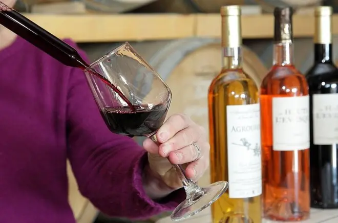 Degustazione vini e visita al vigneto vicino Aix-en-Provence