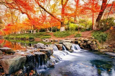 Nine Creeks a Hangzhou con degustazione di tè e pranzo incluso