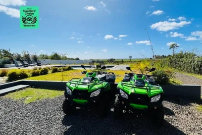 Chase sea breeze on a quad tour through south mauritius—ride forest trails, see the natural bridge, snack on fresh fruit, and stop at wild beaches. includes helmet & guide.