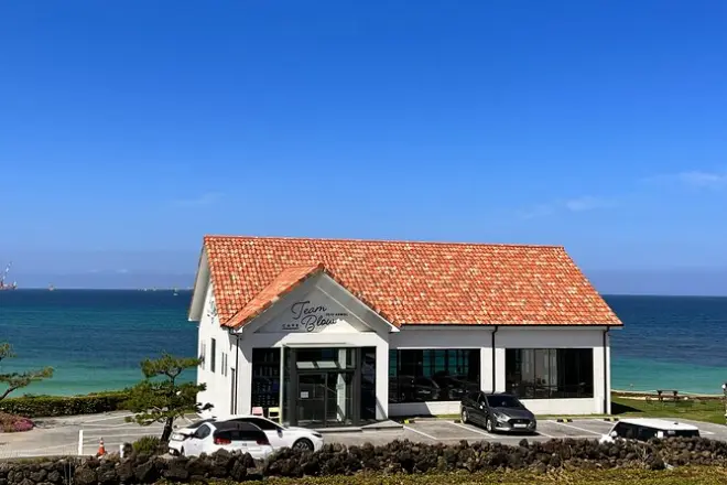 Jeju West tour from Seogwipo: Tea fields, temples, coastal walks