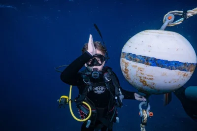 Tauche bei maui am mala wharf in kleiner gruppe ab – entdecke schildkröten, weißspitzen-riffhaie und bunte korallen mit kompletter tauchausrüstung inklusive.