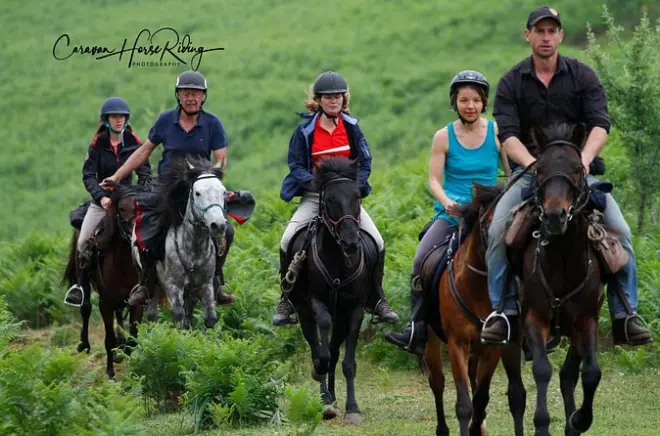 Cavalgada no vale do Drino: Cavalos de montanha albaneses