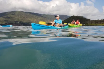Start your morning paddling from palm cove to double island, spotting turtles, exploring mangroves and even a cave if the tide’s right. includes gear and local guide.