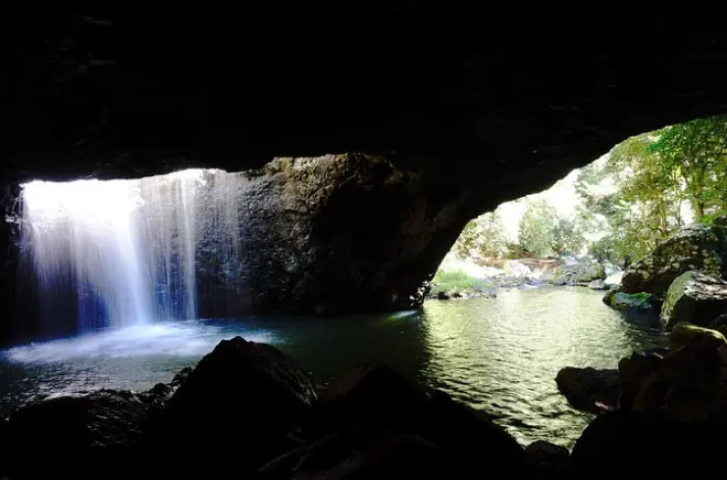 Gold Coast Rainforest Tour: Waterfalls & Glow Worms