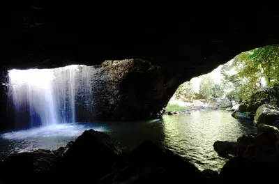 Gold Coast Rainforest Tour: Waterfalls & Glow Worms