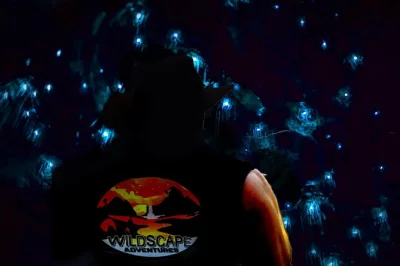 Follow a local guide on a night hike in the blue mountains to see glow worms in a hidden cave, spot wildlife by headlamp, and learn bush survival skills. includes gear.