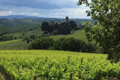 Tour Chianti e San Gimignano da Lucca: Piccolo gruppo, guida