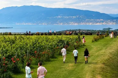 Valtenesi wine tasting in Salò: 4 wines with local food