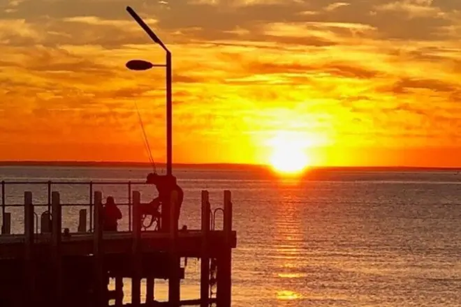 Mornington Peninsula : Excursion privée à votre rythme