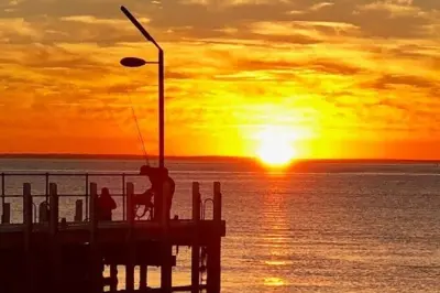 Mornington Peninsula : Excursion privée à votre rythme