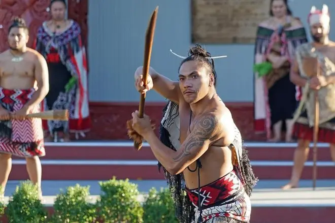 Tour a Te Puia con spettacolo haka e pranzo da Auckland