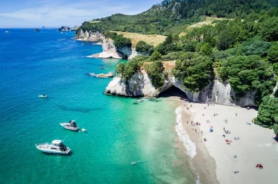 Feel the sand at cathedral cove, soak at hot water beach (tide permitting), and explore coromandel’s coast with a small group and local guide. includes pickup.