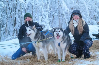 Sinta a emoção do passeio de trenó com huskies do alasca perto de fairbanks, guiado por mushers locais. inclui transfer do hotel, trilhas na neve e fotos grátis para baixar.