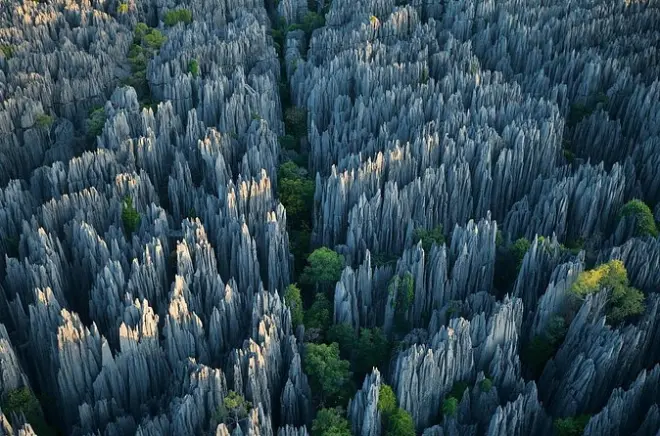 Stone Forest & Jiuxiang Cave tour from Kunming: 8 hours