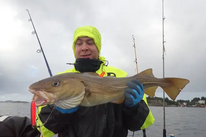 Fishing and cooking class in Stavanger: Catch and cook your meal