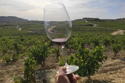 La Rioja wine tour from Pamplona: Winery, tasting & lunch
