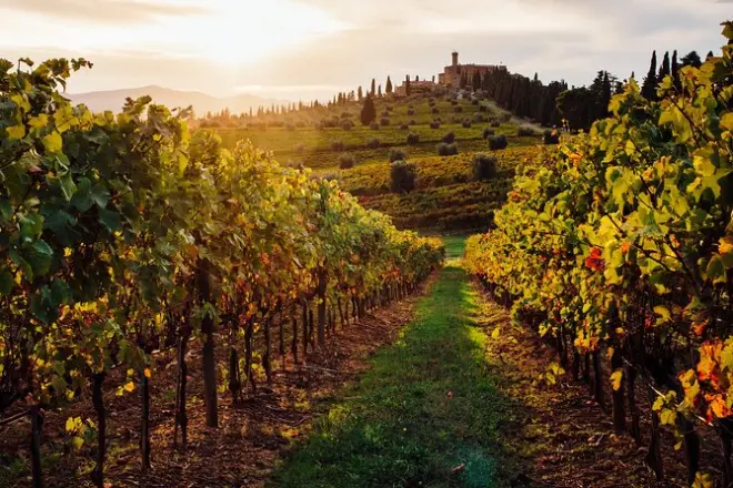 Degustazione vini e prodotti tipici sulle colline di Parma