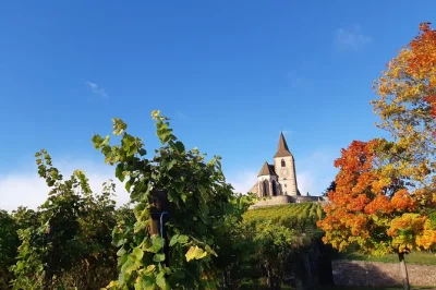 Sample alsace’s wine route from colmar, wander hunawihr & riquewihr villages, and enjoy a cellar tasting with a local winemaker. includes pickup & return.