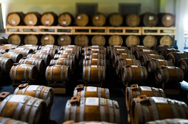 Visita produttore aceto balsamico a Modena con tour e degustazione