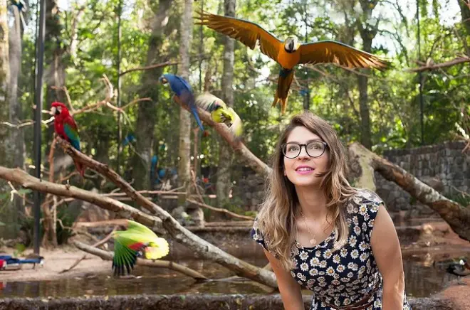 Iguazu Falls Bird Park Tour: Private Guide Puerto Iguazú
