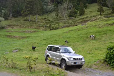 Sete Cidades da Ponta Delgada: Mezza giornata in 4×4 nel cratere