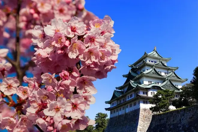 Tour privato di un giorno a Nagoya con guida locale
