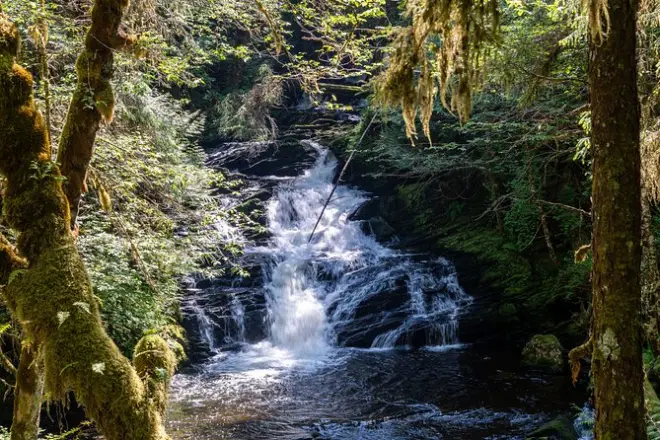 Tongass National Forest hike: Old-growth rainforest trek