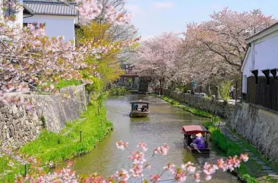 Hikone und Omi Hachiman Tagesausflug ab Nagoya: Burgen und Kanäle