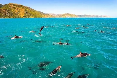 Feel the rush of a zodiac ride along kona’s coast, snorkel kealakekua bay at captain cook monument, explore sea caves, and snack on fresh pineapple—gear included.