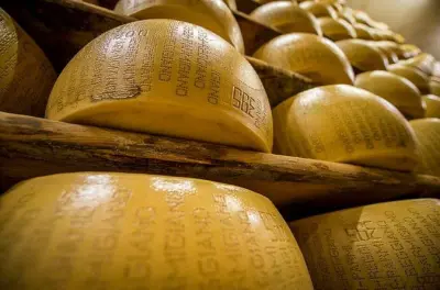 Visite de la fromagerie Parmigiano Reggiano et dégustation à Modène