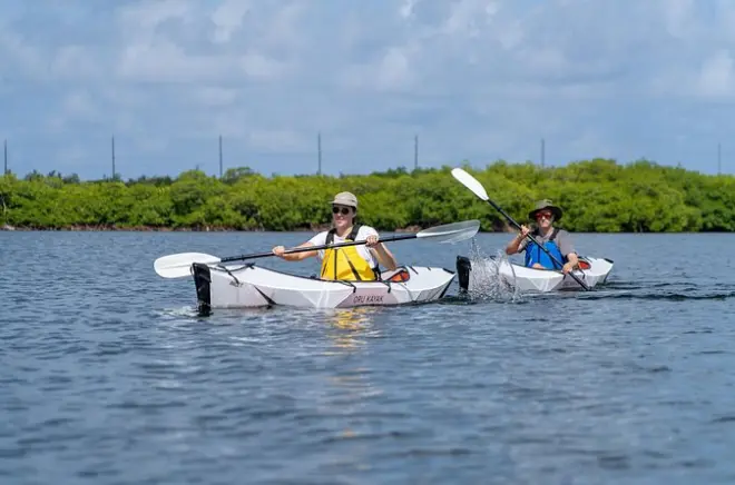Kayak à fond de verre à Grand Cayman : Balade dans les mangroves