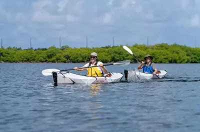 Kayak con fondo trasparente a Grand Cayman: Pagaiata tra le mangrovie
