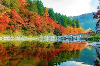 Nagoya Tagesausflug: Korankei-Schlucht, Miso-Fabrik & Inari-Schrein
